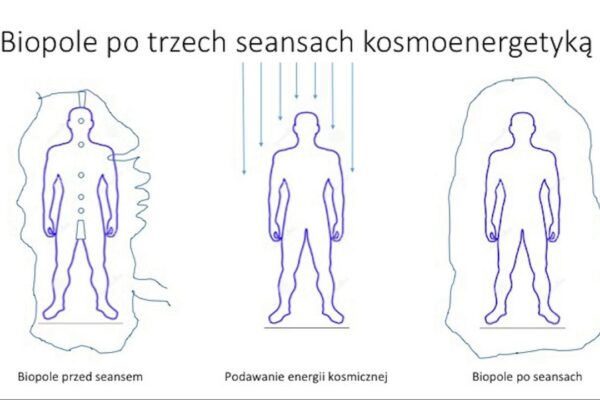 Blog - Biopole – ochrona energetyczna